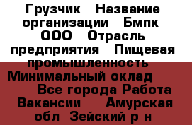 Грузчик › Название организации ­ Бмпк, ООО › Отрасль предприятия ­ Пищевая промышленность › Минимальный оклад ­ 20 000 - Все города Работа » Вакансии   . Амурская обл.,Зейский р-н